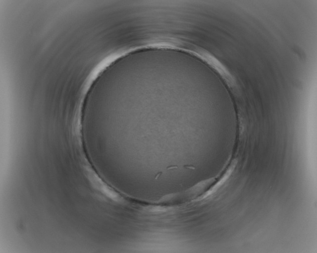 X0000115491240200911061300