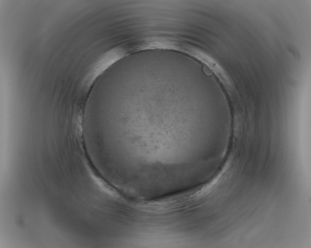 X0000115491241200911061300
