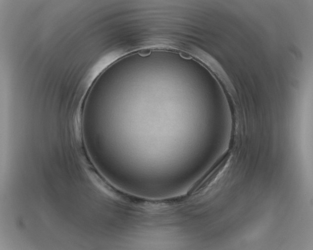 X0000115491242200911061300