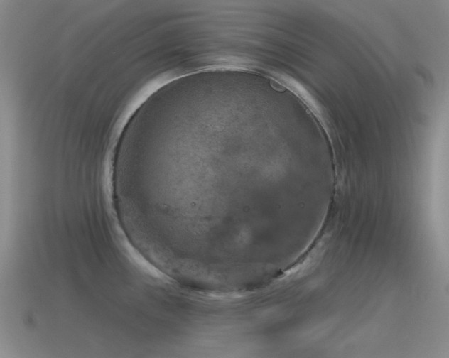 X0000115491243200911061300