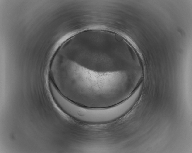 X0000115491245200911061300