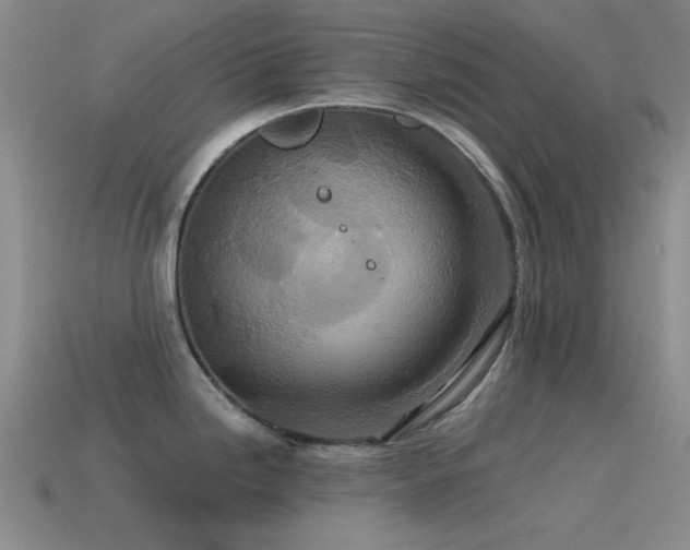 X0000115491246200911061300