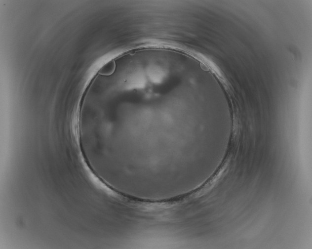X0000115491247200911061300