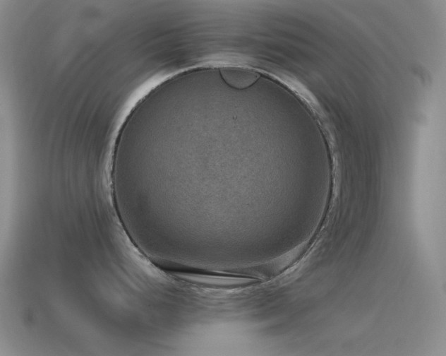 X0000115491248200911061300
