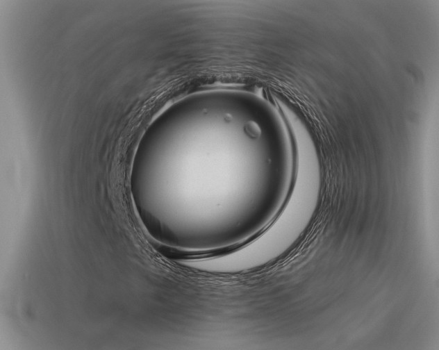 X0000115491249200911061300