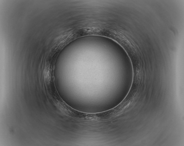 X0000115491250200911061300