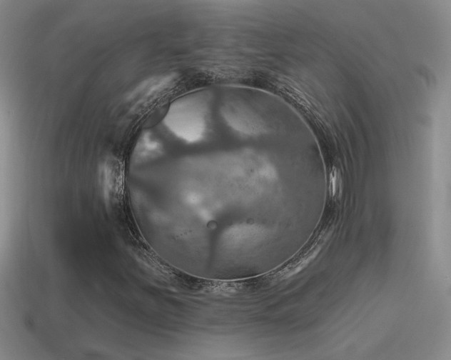 X0000115491251200911061300