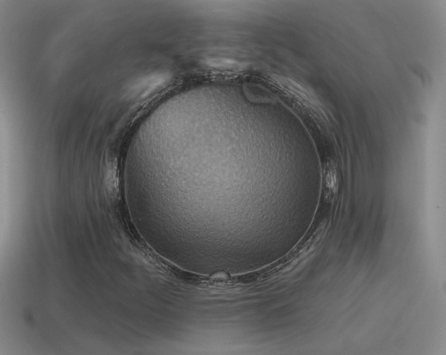 X0000115491252200911061300