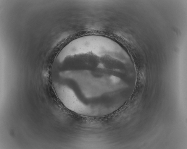 X0000115491254200911061300
