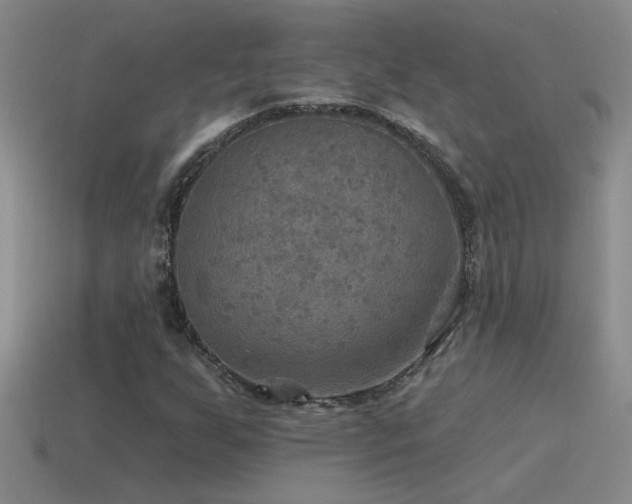 X0000115491255200911061300