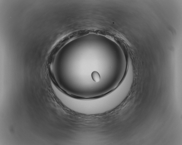 X0000115491256200911061300