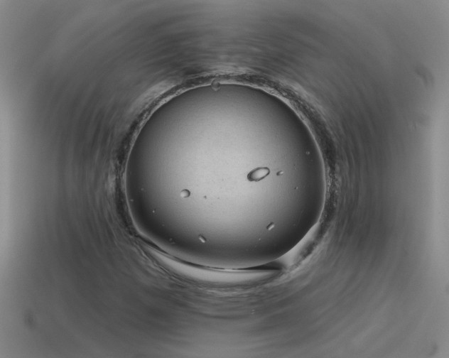 X0000115491257200911061300