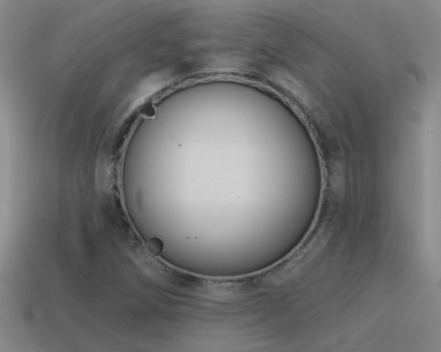 X0000115491258200911061300