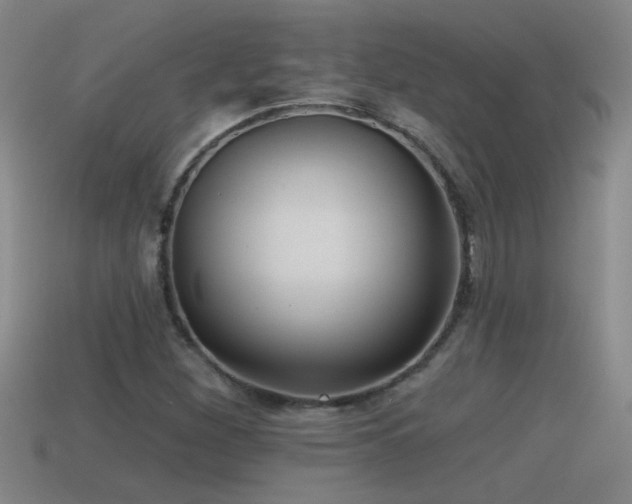 X0000115491260200911061300