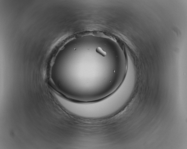 X0000115491261200911061300
