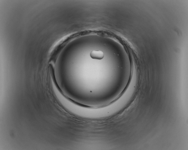 X0000115491262200911061300