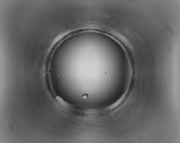 X0000115491264200911061300
