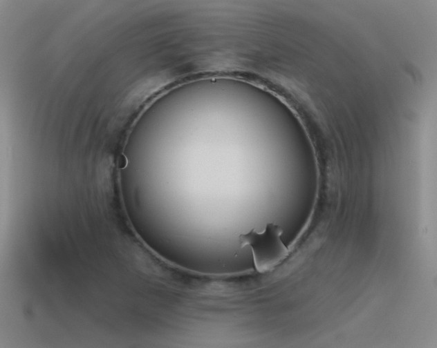 X0000115491265200911061300