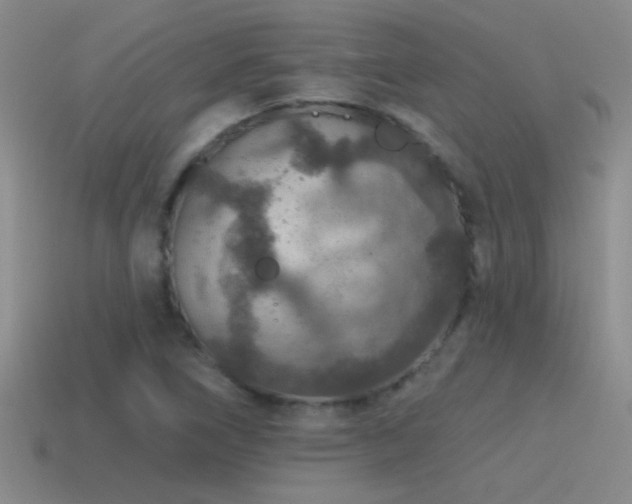 X0000115491266200911061300
