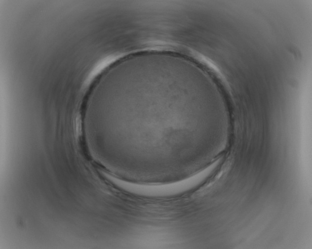 X0000115491267200911061300