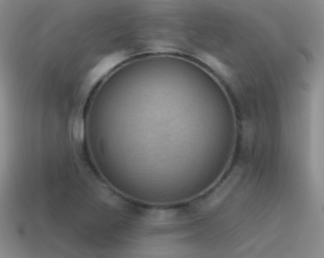 X0000115491269200911061259