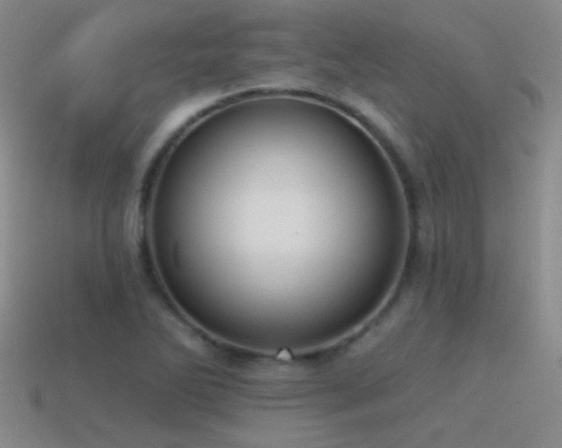 X0000115491270200911061259