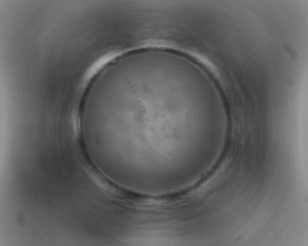 X0000115491271200911061259