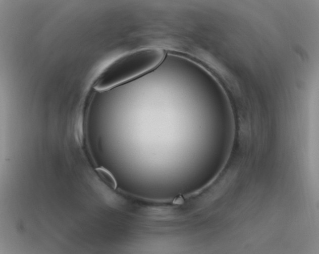 X0000115491272200911061259