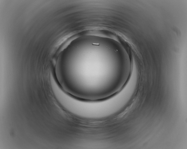 X0000115491273200911061259