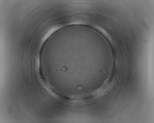 X0000115491274200911061259