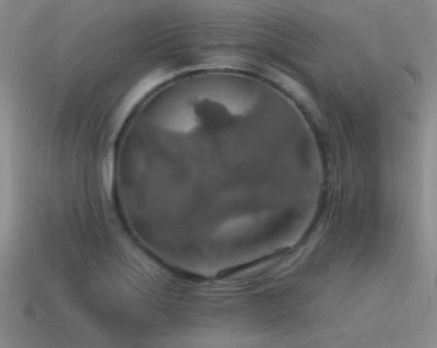 X0000115491275200911061259