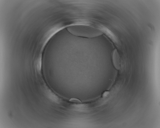 X0000115491276200911061259