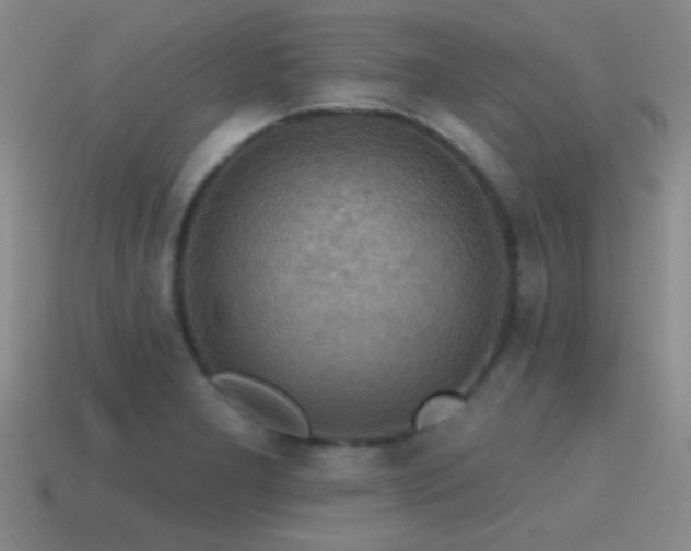 X0000115491277200911061259