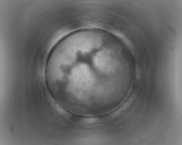 X0000115491278200911061259