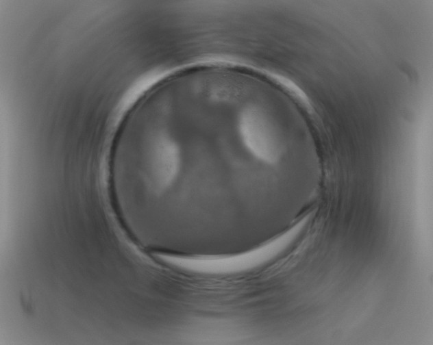 X0000115491279200911061259