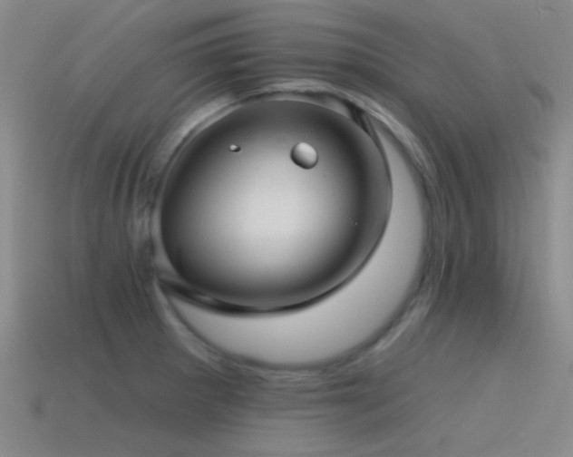 X0000115491281200911061259