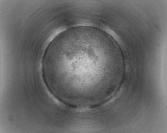 X0000115491282200911061259