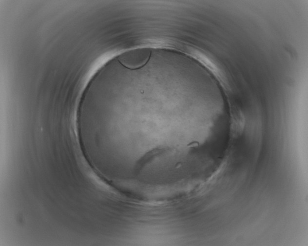 X0000115491283200911061259