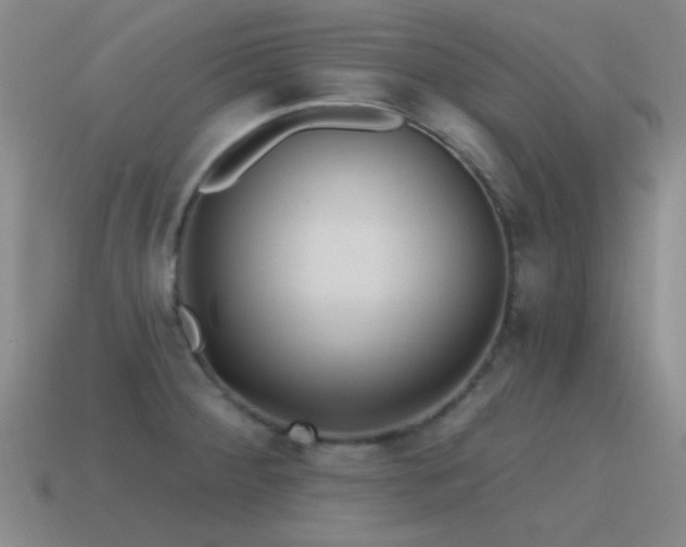 X0000115491284200911061259