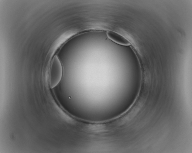 X0000115491285200911061259