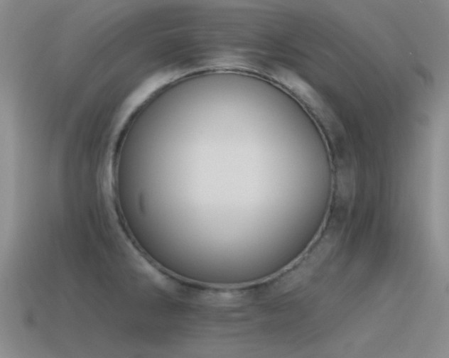 X0000115491286200911061259