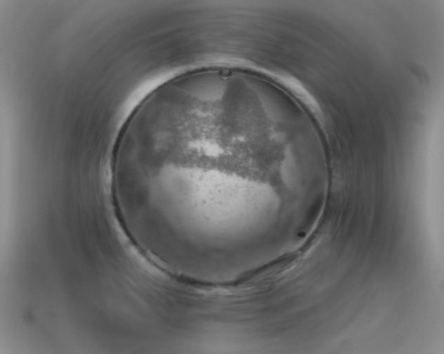 X0000115491287200911061259