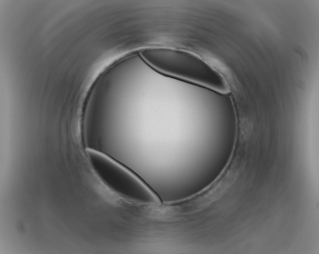 X0000115491288200911061259