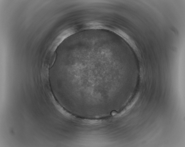 X0000115491289200911061259
