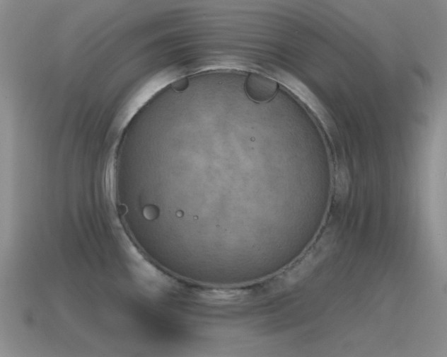 X0000115491290200911061259