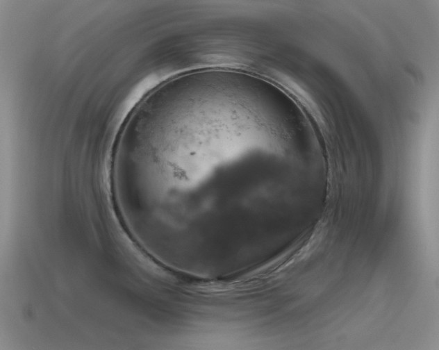 X0000115491291200911061259