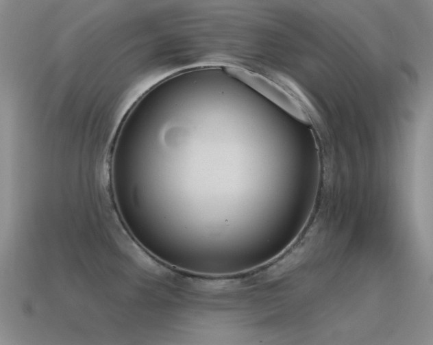 X0000115491292200911061259
