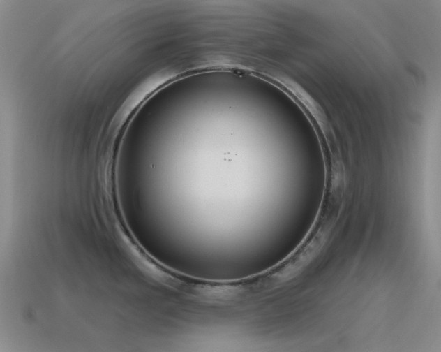 X0000115491293200911061259