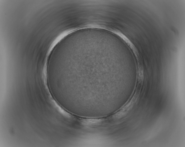X0000115491294200911061259