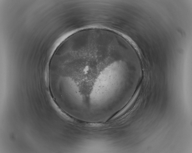 X0000115491295200911061259